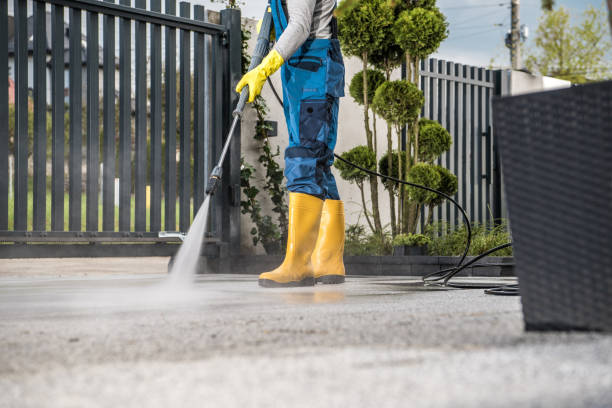 Professional Pressure Washing in Riverview, DE